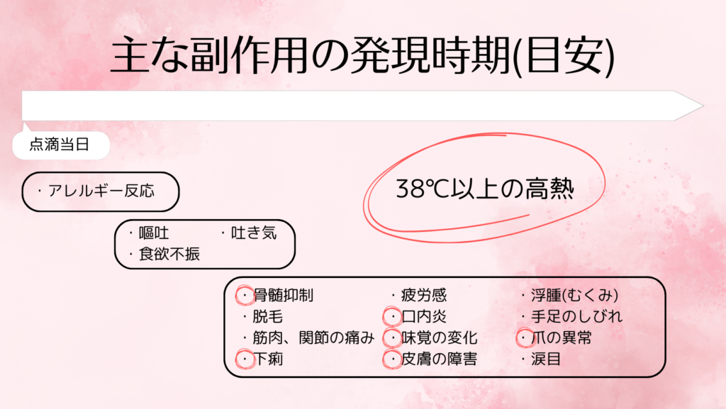 主な副作用の発現時期